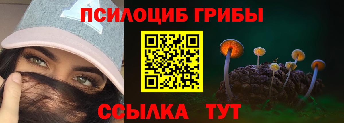 Псилоцибиновые грибы Cubensis Ярославль